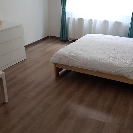 Apartman Pod Zamkem Decin Eksteriør bilde